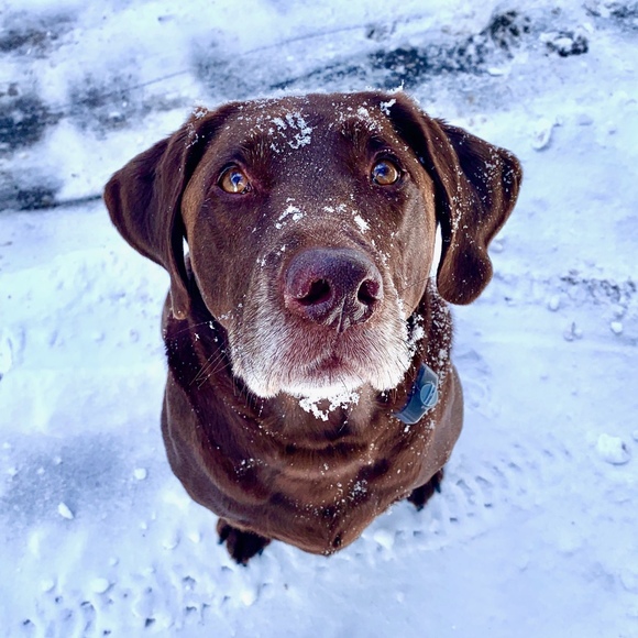 Meet your Posher, Colin - Picture 1 of 1